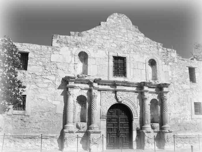 Alamo(InstitutionalSales)_feather
